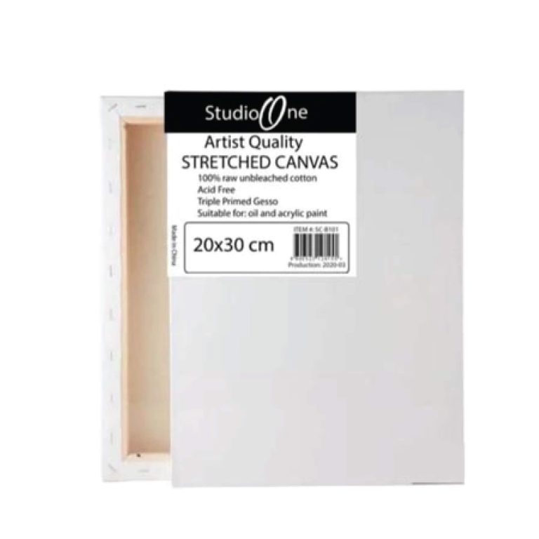 s1canvas