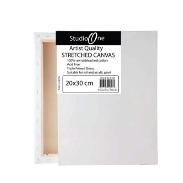 s1canvas