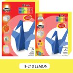 FB250-IT210